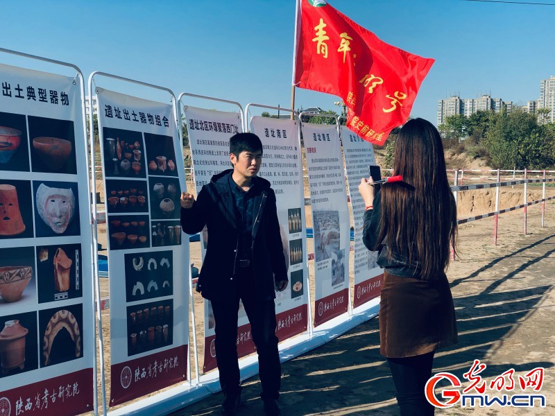 “考古实习生”系列直播之高陵杨官寨遗址 5000年前史前先民如何生活?这座遗址给你答案