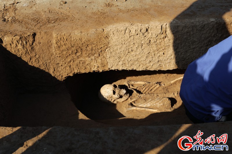 “考古实习生”系列直播之高陵杨官寨遗址 5000年前史前先民如何生活?这座遗址给你答案