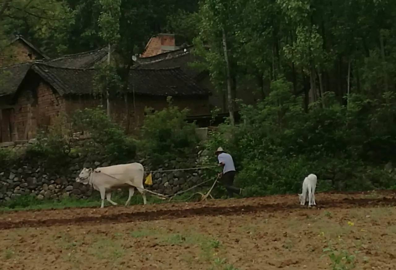 身边正能量手机摄影大赛第一阶段投票结果公布